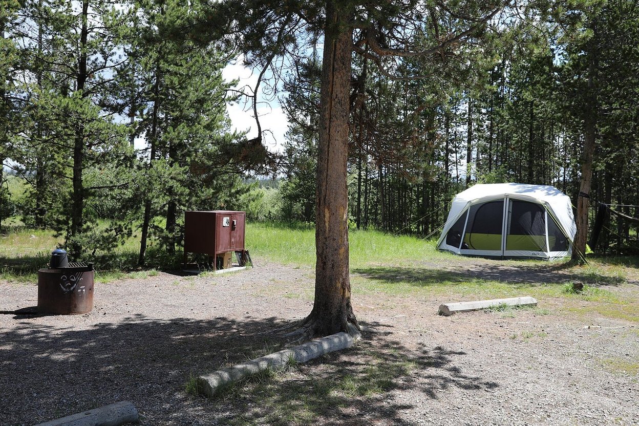 A tent, bear food box and metal campfire ring at a national forest campsite