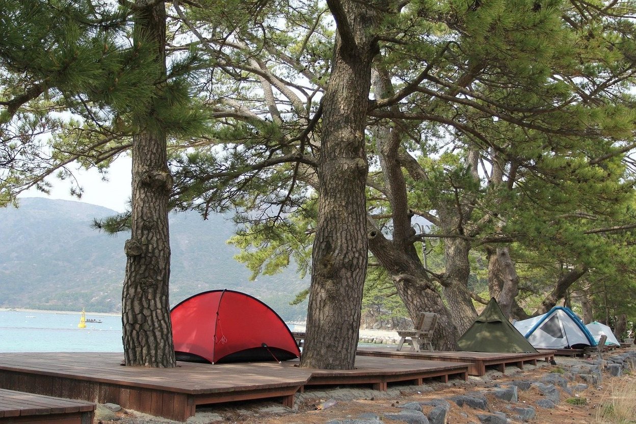 An RV plugged into a campground electric pedestal with a 50-amp outlet at a Nebraska state park campsite.