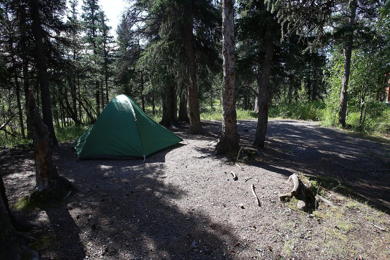 A campsite in a national forest campground